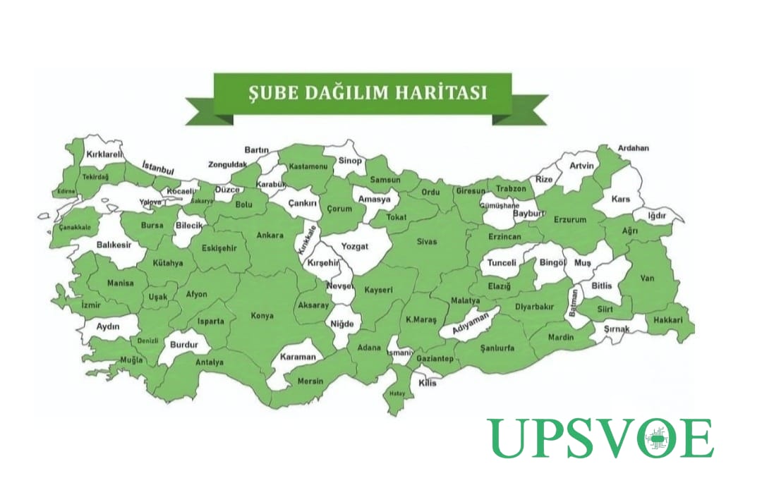 Yurtiçi Satış Ağı